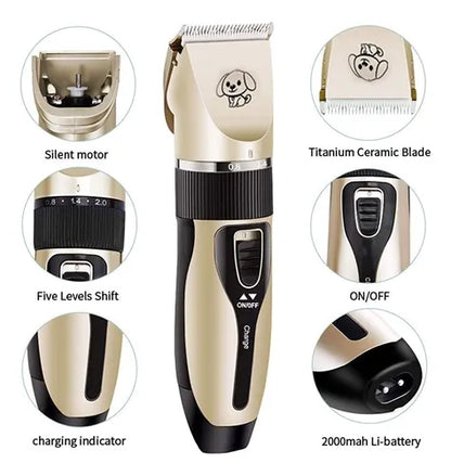 Abejon para mascotas / ALG01754