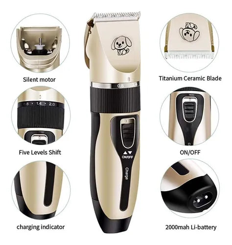 Abejon para mascotas / ALG01754